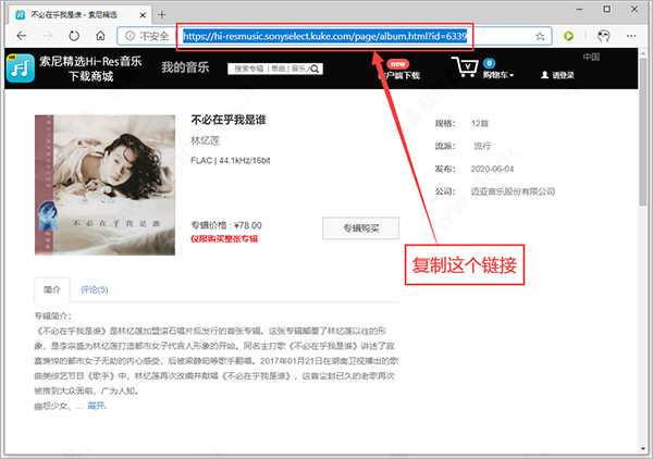 musictools电脑版(无损音乐下载器)