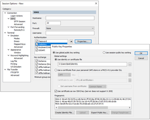 SecureFX 9.0破解版