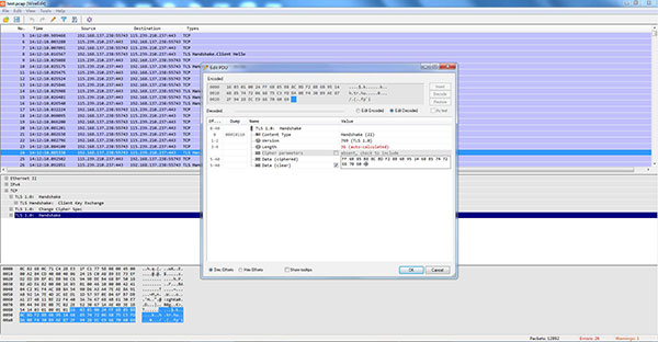 WireEdit(网络数据包编辑工具)