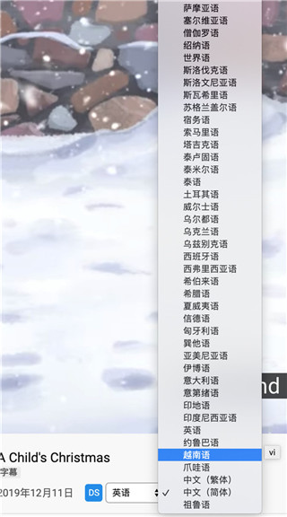 Dualsub(通用字幕渲染器)