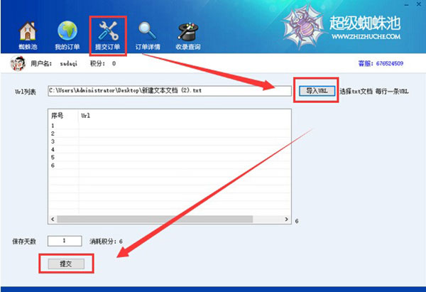 超级蜘蛛池站群