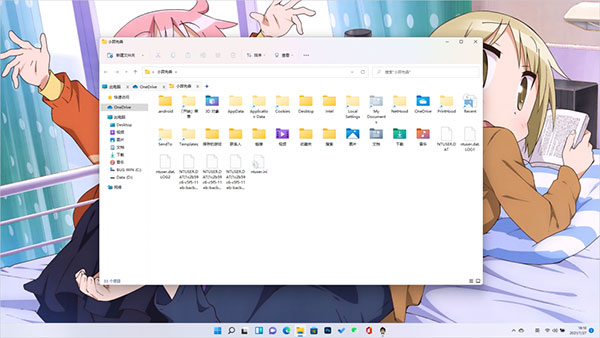 qttabbar win10中文版(多标签资源管理器)
