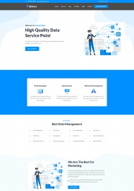 互联网数据SEO服务网站模板 