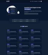 代码开发商宣传服务网站模板 