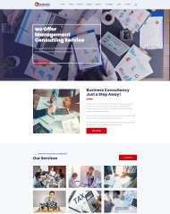 HTML5管理咨询服务公司网站模板