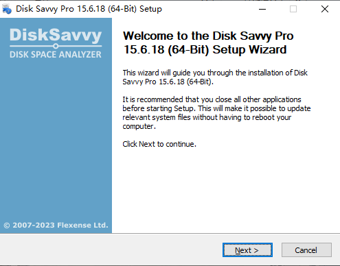 Disk Savvy Pro(磁盘分析工具)免费版
