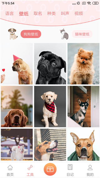 动物语言翻译器app免费版