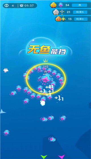 小鱼你别跑官方版