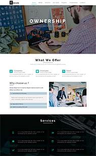 宽屏创业公司网站模板