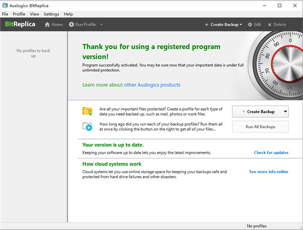 Auslogics BitReplica