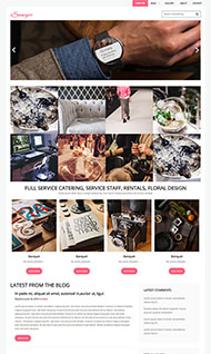 宽屏相册图库网站模板