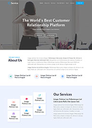 全球客户关系平台网站模板