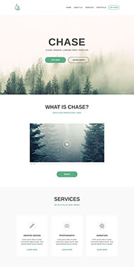 VIP付费产品宽屏网站模板 