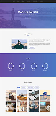 网站开发者求职简历模板