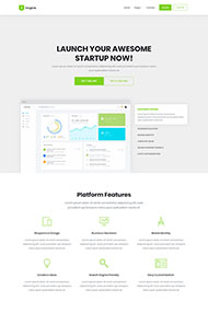 软件管理平台开发网站模板