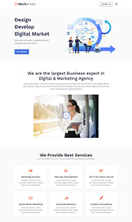 网络应用开发网站模板 