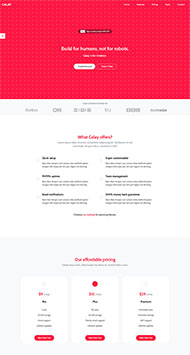 商业web服务公司网站模板 