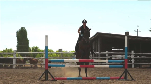 Topaz Video Ai视频修复增强工具