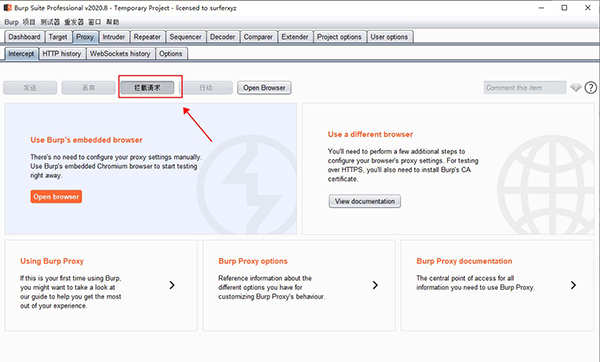 Burp Suite(渗透测试工具)