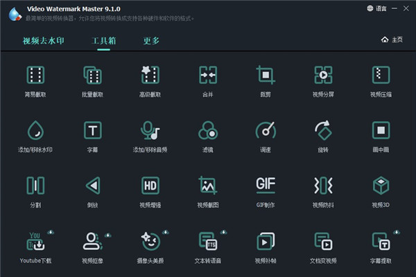 GiliSoft Video Watermark Master(视频去水印工具)