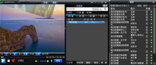 wo99伴奏盒电脑版