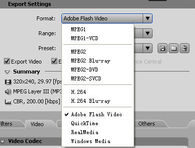 adobe premiere pro cs3 简体中文版