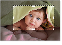 Program4Pc Video Converter Pro(视频转换器)