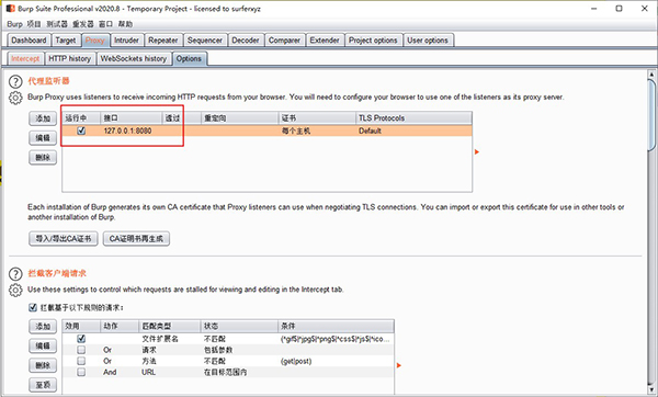 Burp Suite(渗透测试工具)
