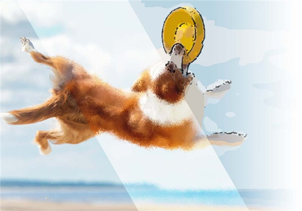 会声会影2021旗舰版