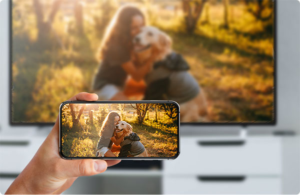 Nero MediaHome(智能照片管理器)