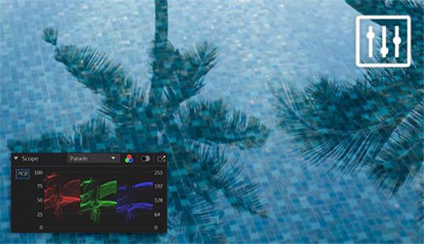 ColorDirector 12中文版