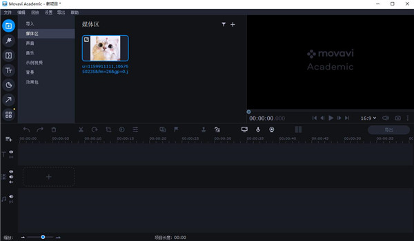 Movavi Academic中文版