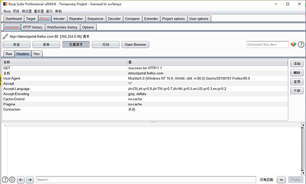 Burp Suite(渗透测试工具)