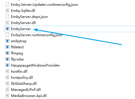 Emby Server Windows版(流媒体服务软件)