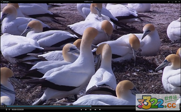 kmplayer播放器绿色版