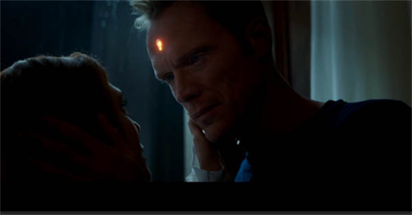 Premiere Pro cc 2019中文破解版