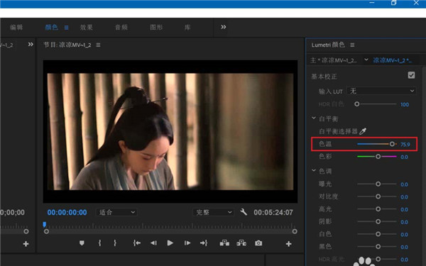 adobe premiere pro 2022中文版