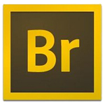 Adobe Bridge CS5中文免安装版