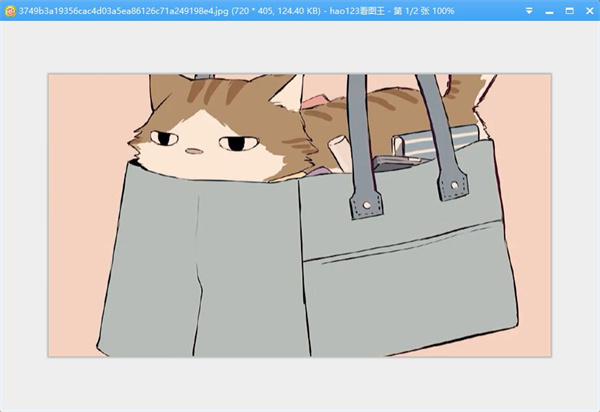 hao123看图王官方版