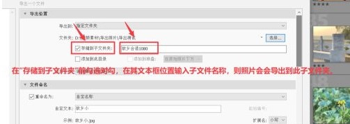 Adobe Lightroom Classic 2024中文版
