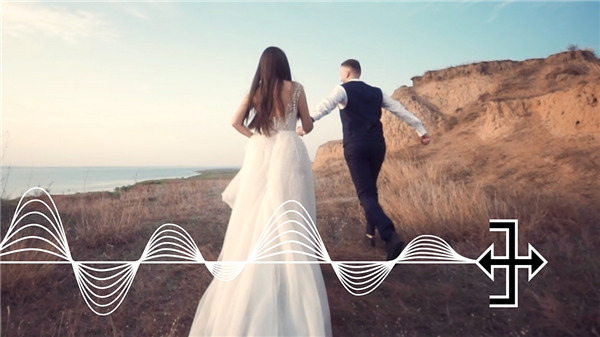 Adobe Premiere Elements 2022中文版