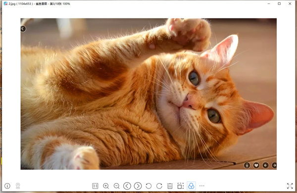 鲨鱼看图官方版