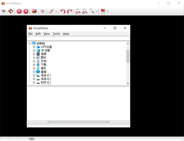 forcevision final电脑版