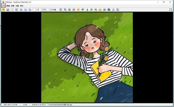 FastStone MaxView