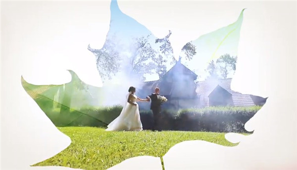 Adobe Premiere Elements 2022中文版