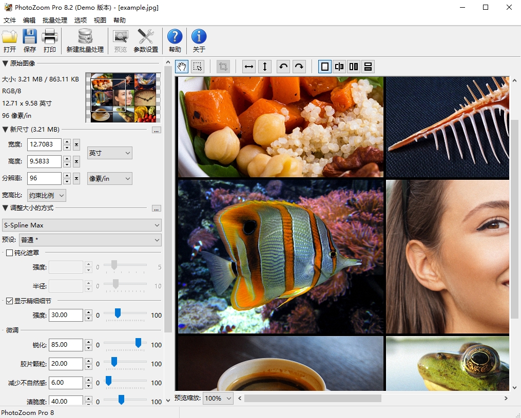 PhotoZoom Pro 8官方版