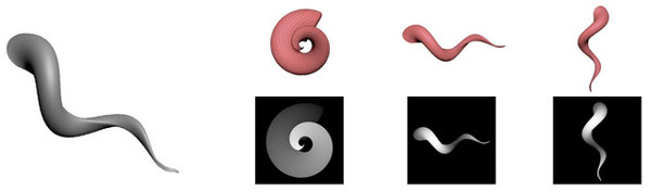 ZBrush 4R8简体中文版