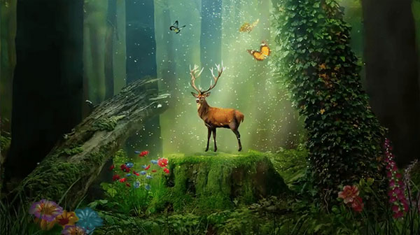 Photoshop2024中文破解版