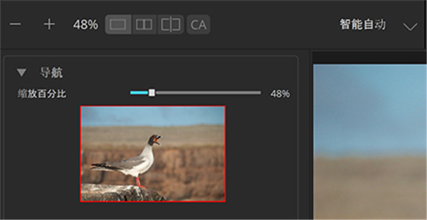 Perfectly Clear WorkBench(修复图像工具)