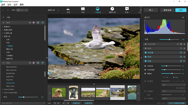 Perfectly Clear WorkBench(修复图像工具)